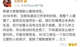 娱乐圈吃瓜群众的句子,揭秘明星幕后故事